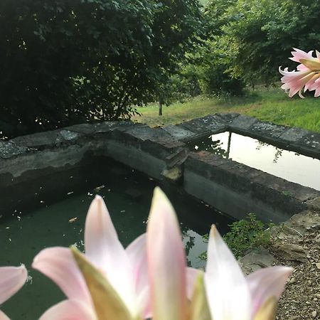 Relax Nella Natura Bolano Εξωτερικό φωτογραφία