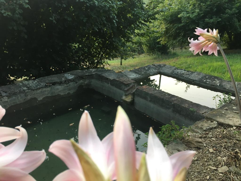 Relax Nella Natura Bolano Εξωτερικό φωτογραφία