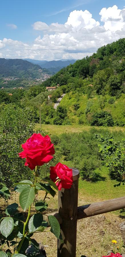 Relax Nella Natura Bolano Εξωτερικό φωτογραφία
