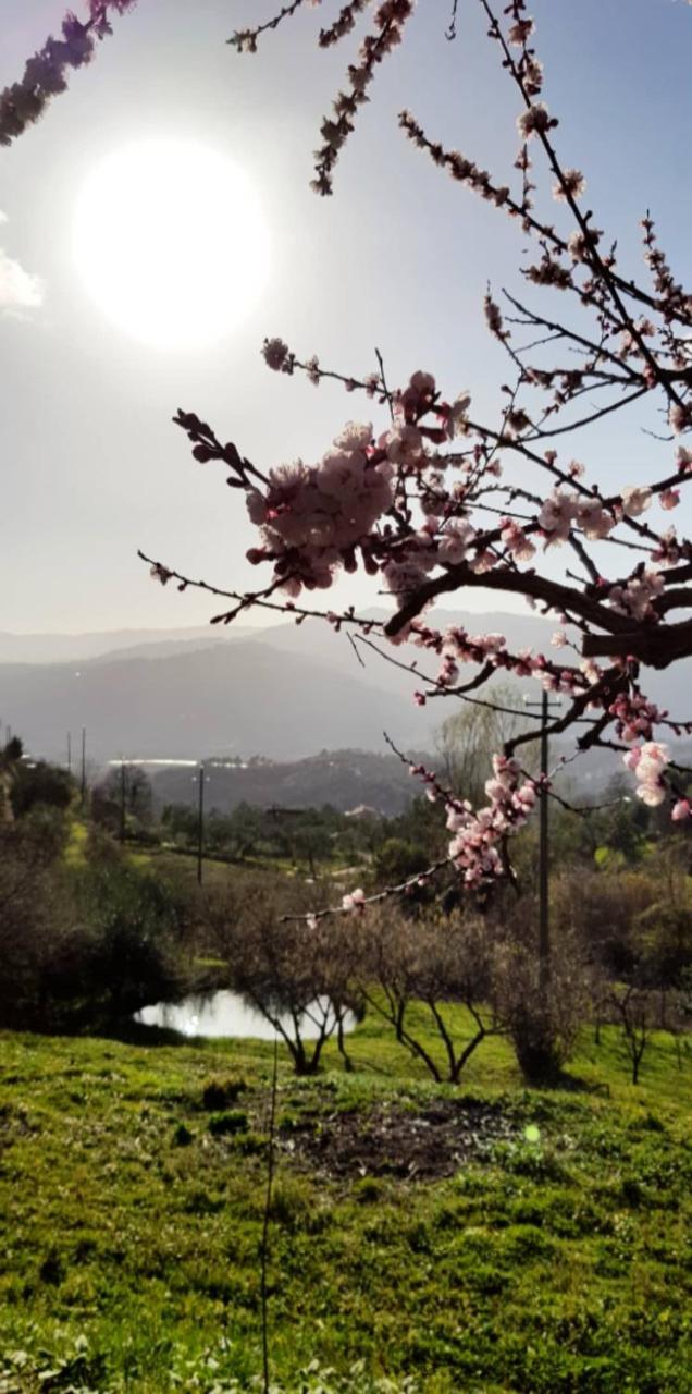 Relax Nella Natura Bolano Εξωτερικό φωτογραφία